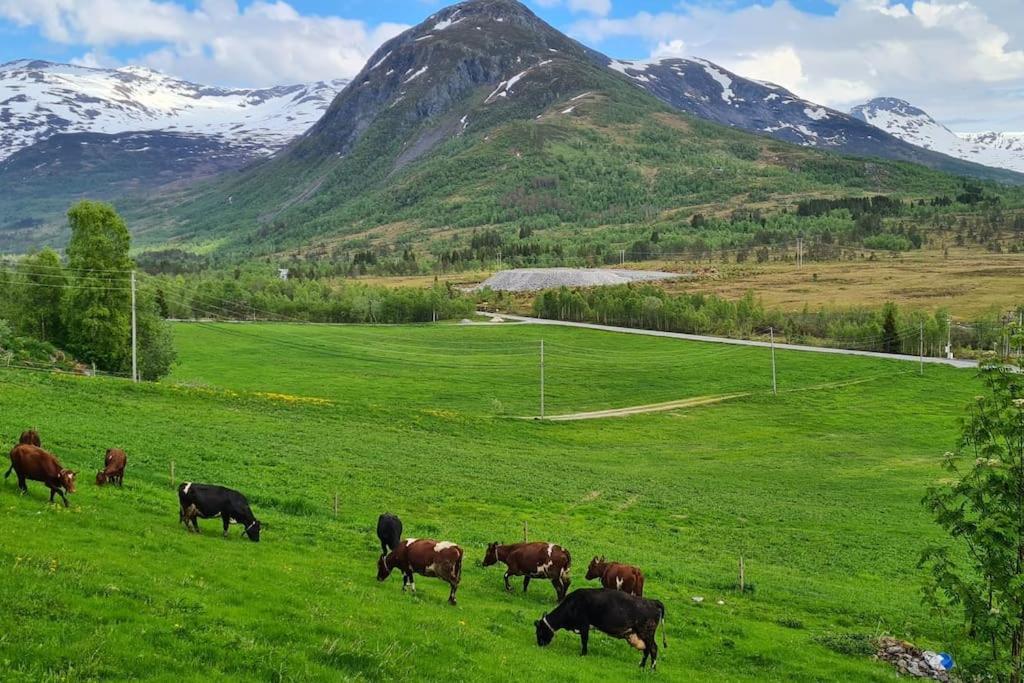 Holiday Home Among The Pearls Of Norway Stranda  Extérieur photo