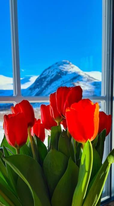 Holiday Home Among The Pearls Of Norway Stranda  Extérieur photo