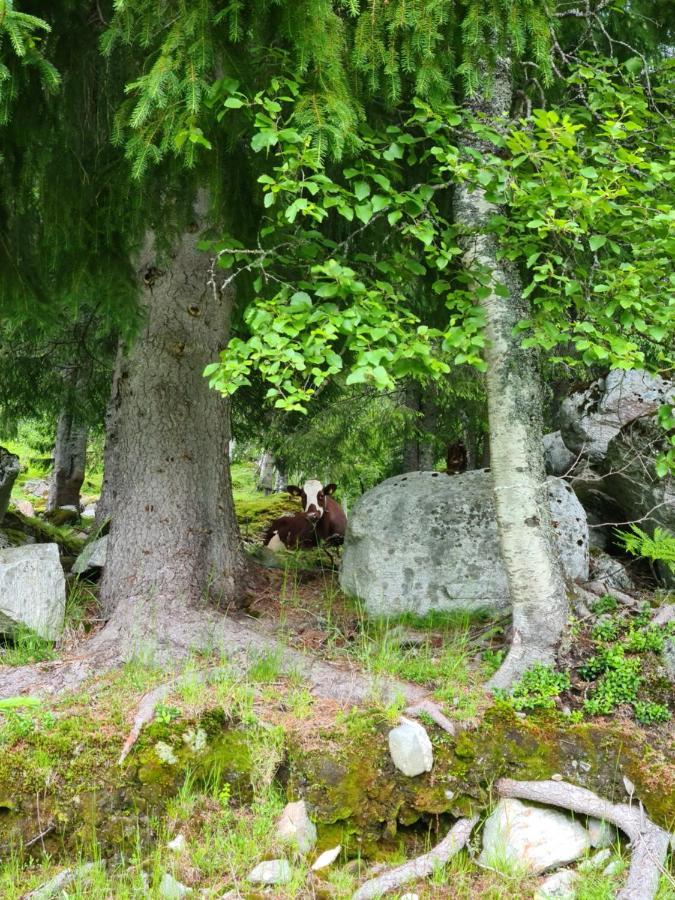 Holiday Home Among The Pearls Of Norway Stranda  Extérieur photo