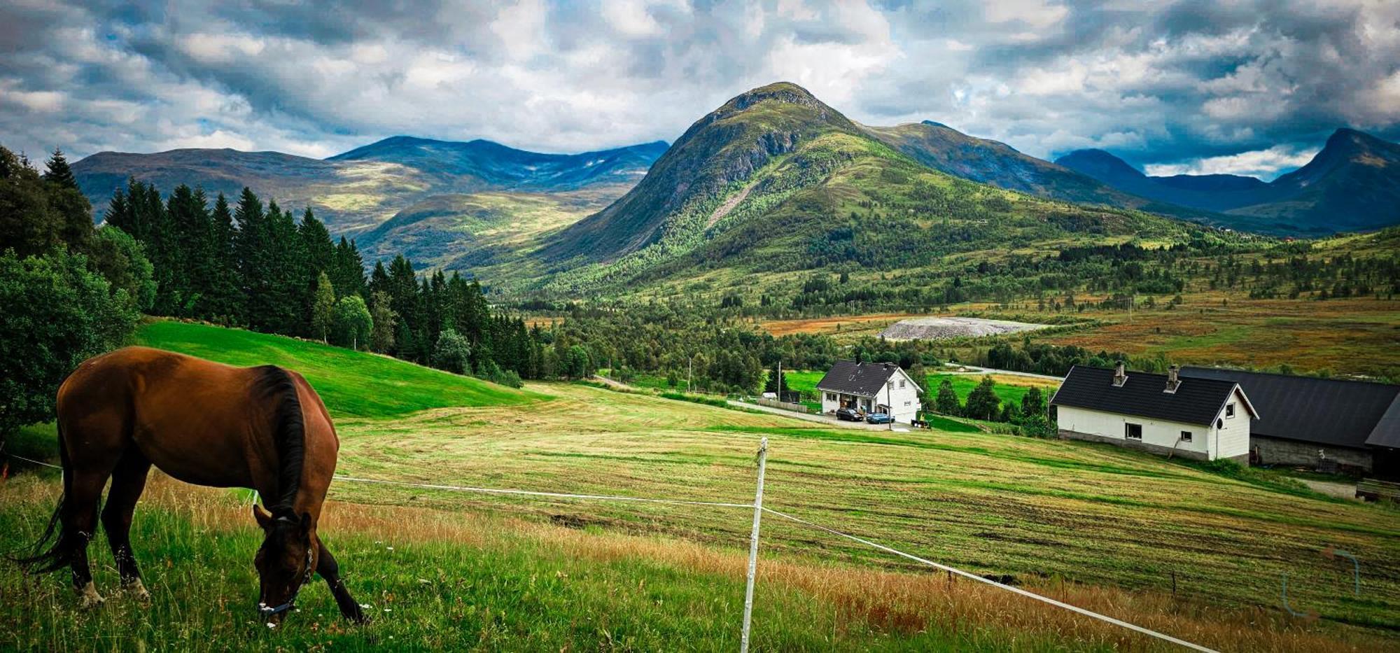 Holiday Home Among The Pearls Of Norway Stranda  Extérieur photo