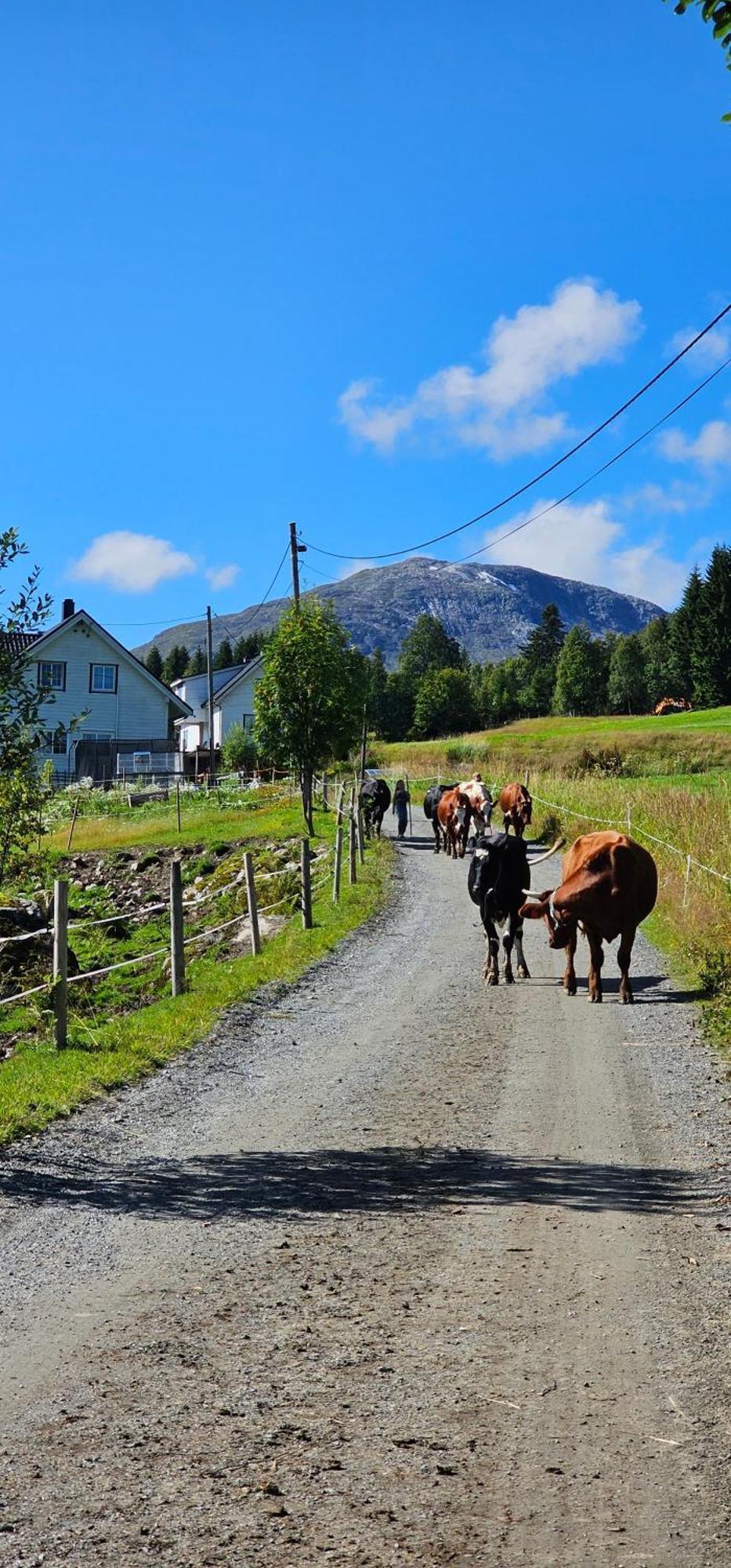 Holiday Home Among The Pearls Of Norway Stranda  Extérieur photo
