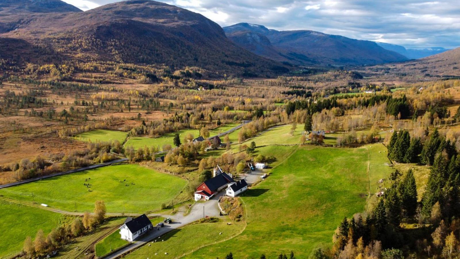 Holiday Home Among The Pearls Of Norway Stranda  Extérieur photo